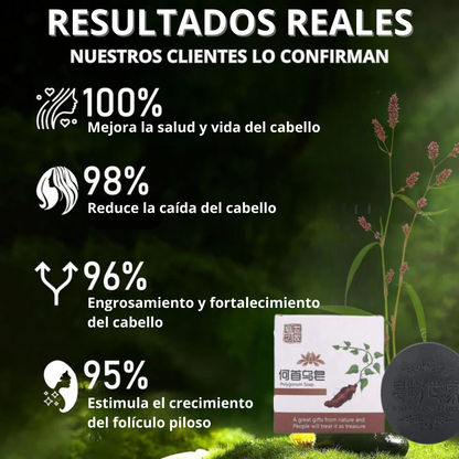 SHAMPOO EN BARRA EXTRACTO DE POLYGONUM ORIGINAL 🔥OFERTA 2X1 😍