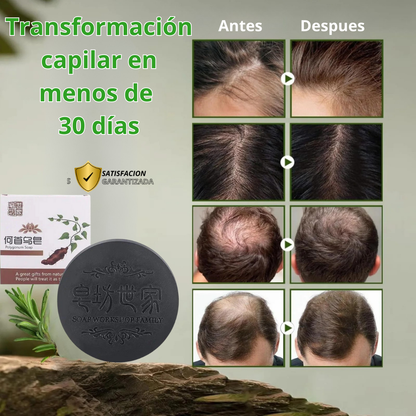 SHAMPOO EN BARRA EXTRACTO DE POLYGONUM ORIGINAL 🔥OFERTA 2X1 😍