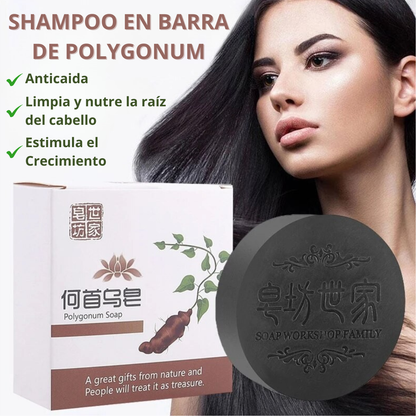 SHAMPOO EN BARRA EXTRACTO DE POLYGONUM ORIGINAL 🔥OFERTA 2X1 😍
